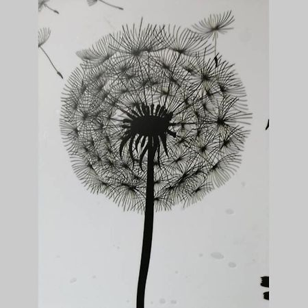 Ferienwohnung Pusteblume Mueddersheim Vettweiss Dış mekan fotoğraf