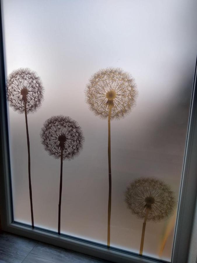 Ferienwohnung Pusteblume Mueddersheim Vettweiss Dış mekan fotoğraf